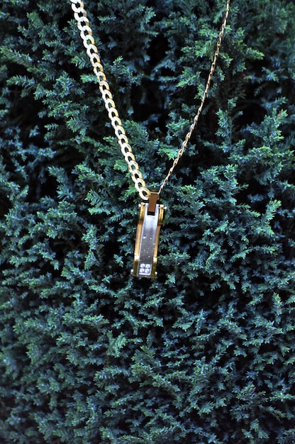 Un collier d'or