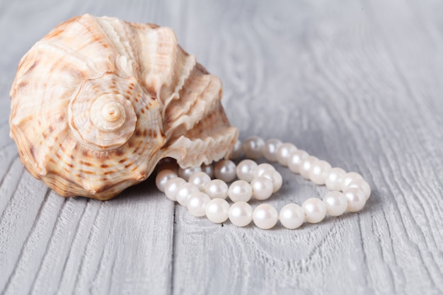 Collier en perles et coquillage sur bois blanc