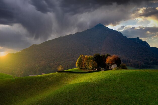 Colline avec des arbres