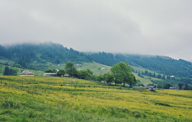 Colline boisée par temps nuageux, beau paysage naturel de la campagne montagneuse