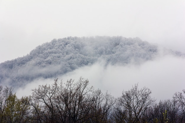 colline dans la neige