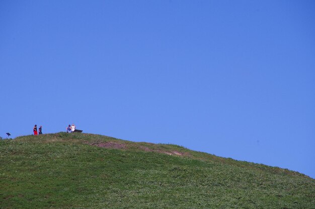 Photo une colline d'herbe contre un ciel bleu clair