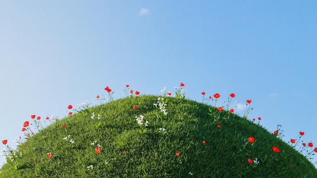 Photo colline d'herbe verte 3d avec petite fleur rouge et blanche isolée sur un fond de ciel bleu