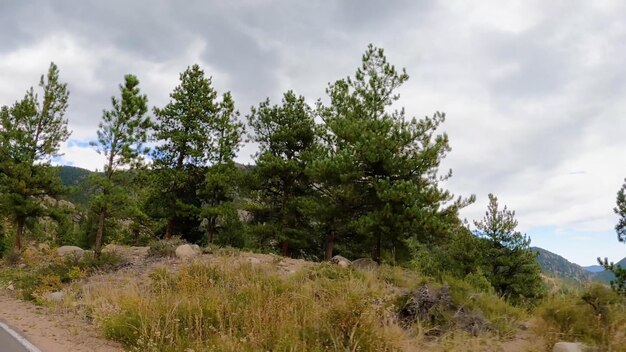 Une colline herbeuse avec des arbres au premier plan et un ciel nuageux en arrière-plan.