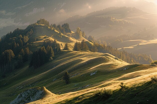 Photo une colline herbeuse avec des arbres au sommet.