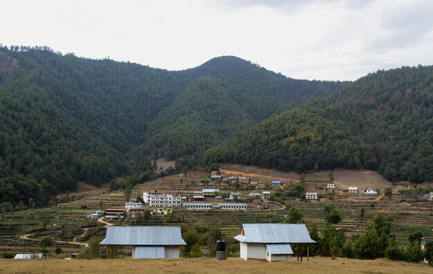 La colline et les maisons.