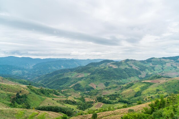 Colline de montagne Doi Chang à Chiang Mai en Thaïlande