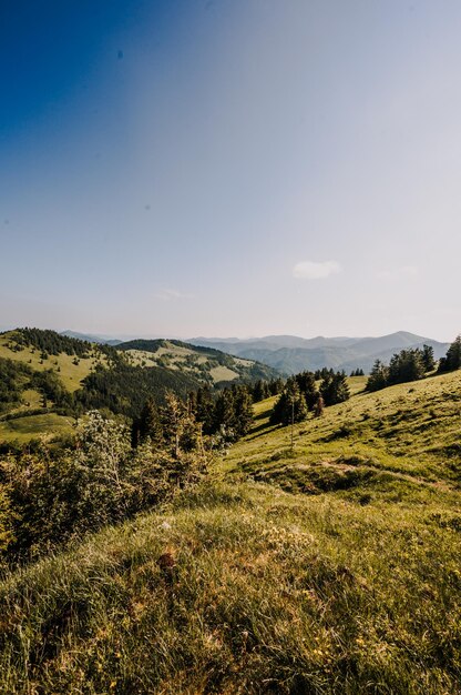 Colline de Ploska avec refuge de montagne de Borisov montagnes Big Fatra Slovaquie Randonnée été Slovaquie paysage