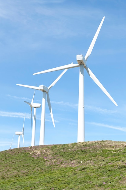 Colline avec quelques éoliennes un jour d'été