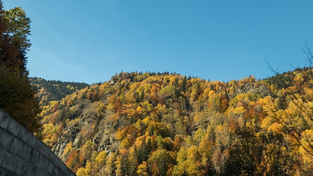 Une colline rocheuse et une forêt