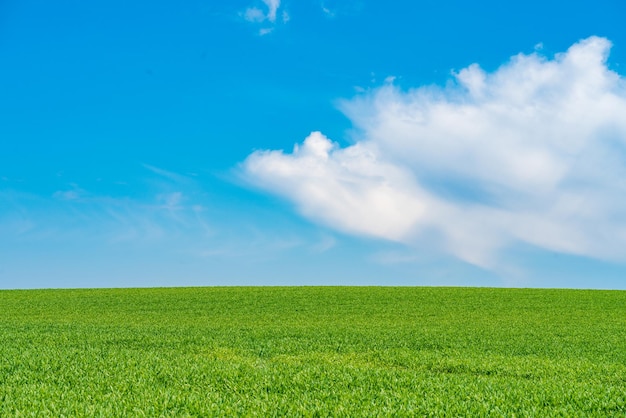 Colline verte avec des nuages rêveurs et un ciel bleu en arrière-plan