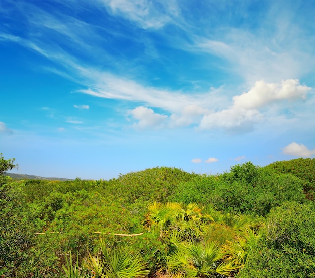 Colline verte sous un ciel bleu avec des nuages