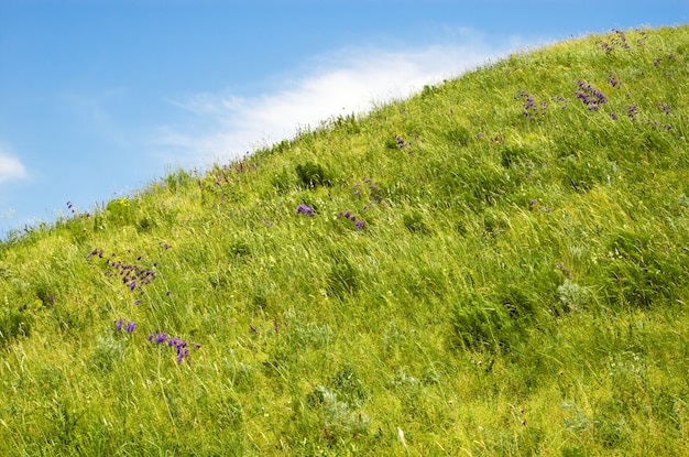 Colline verte