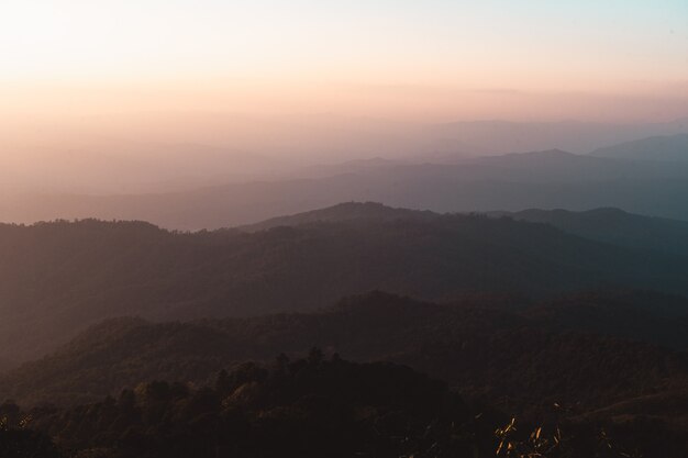 Sur la colline, vue forêt de montagne le soir