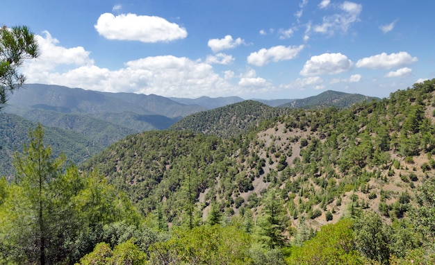 Collines de Chypre