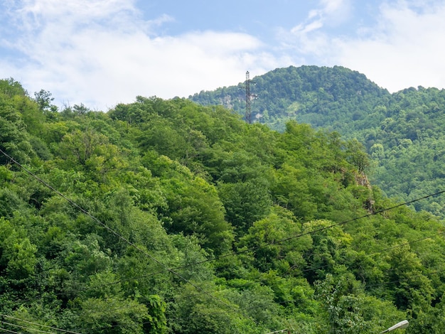 Collines couvertes de forêt dense Présence humaine Montagnes vertes