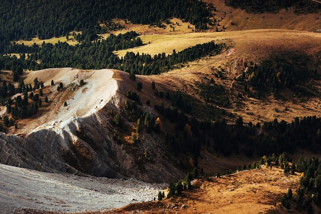 Collines des Dolomites. Vue depuis le sommet de la montagne avec des arbres partiellement éclairés par le soleil.