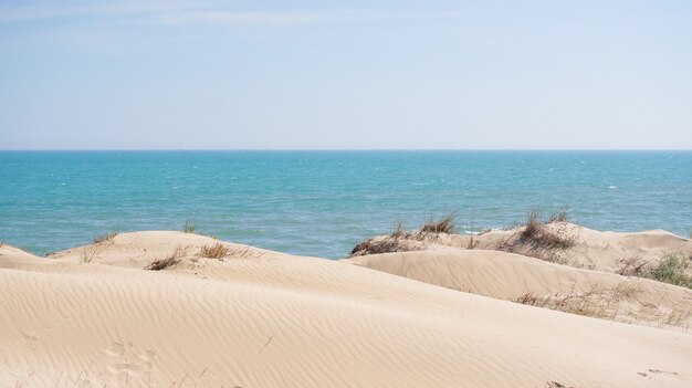 Collines de dunes de sable blanc près de la mer bleue