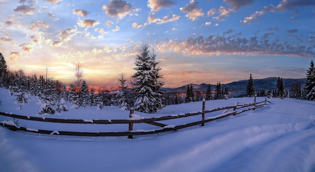 Des collines enneigées d'hiver, des pistes sur une route de terre rurale et des arbres au coucher du soleil du soir, la lumière du soleil, un petit village alpin tranquille à la périphérie.