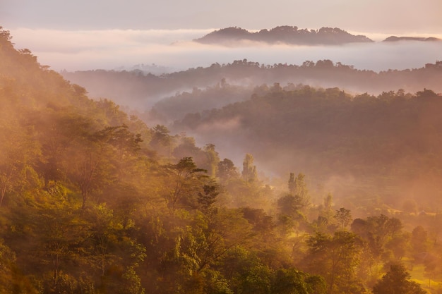 Collines de l'Himalaya dans le paysage de lever de soleil de brume