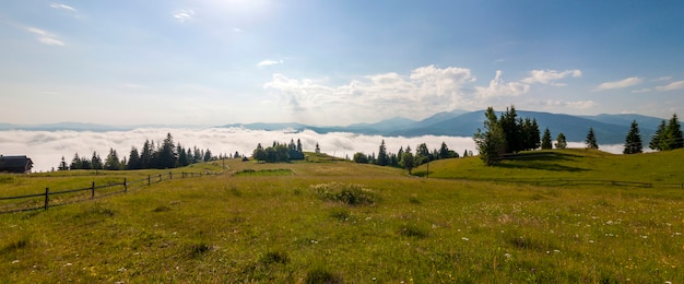 Collines avec des prairies vertes en journée d'été