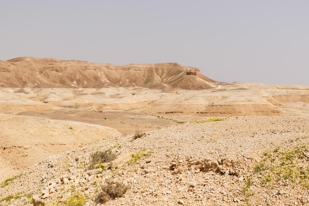 Collines et rochers dans le désert de Judée en Israël