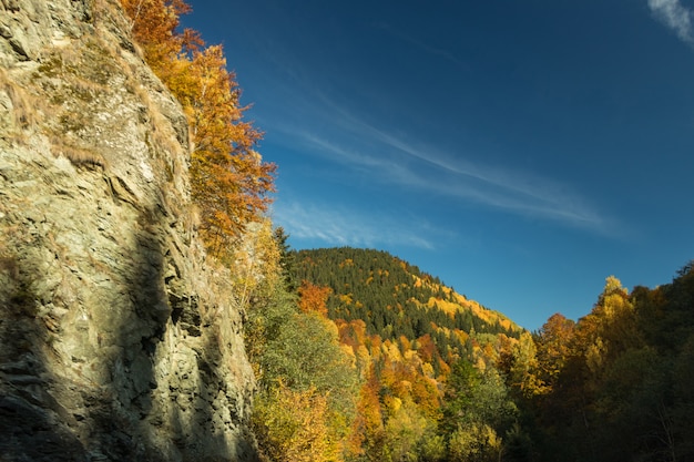 Collines, rochers et forêt