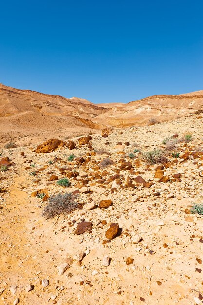 Photo les collines rocheuses