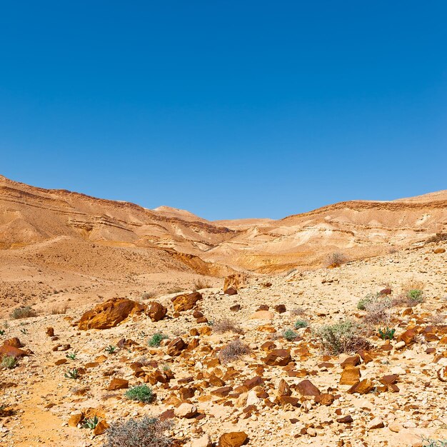 Photo les collines rocheuses