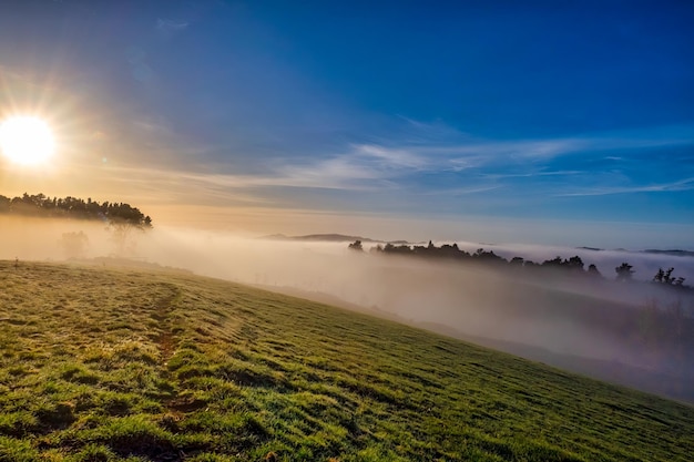 Les collines rurales de Berwick au sud-ouest de Dunedin au lever du soleil par une journée glaciale avec une faible brume