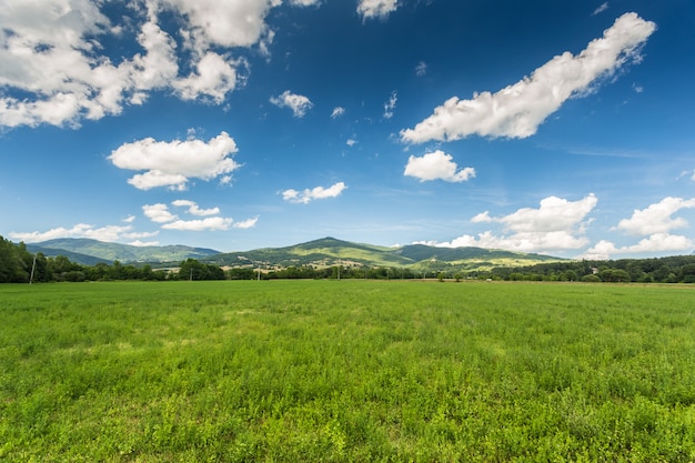 Collines de la toscane