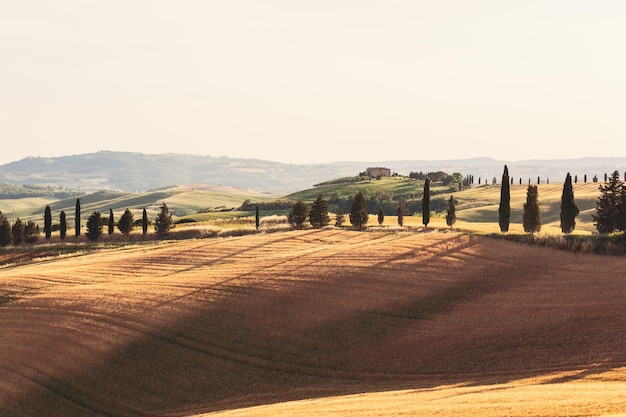 Collines toscanes avec des champs cultivés ferme solitaire et tout l'horizon est enveloppé