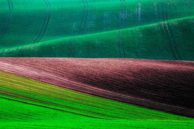 Collines de vagues vertes et brunes en Moravie du Sud, fond de la République tchèque