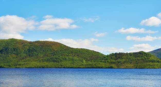 Collines verdoyantes au bord de la mer avec un ciel bleu en Norvège Paysage sauvage et vibrant dans le Nordland Une mer calme près d'une île déserte inhabitée contre un horizon nuageux lumineux Scène de nature paisible