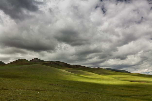 Photo collines verdoyantes au ciel nuageux steppe mongole