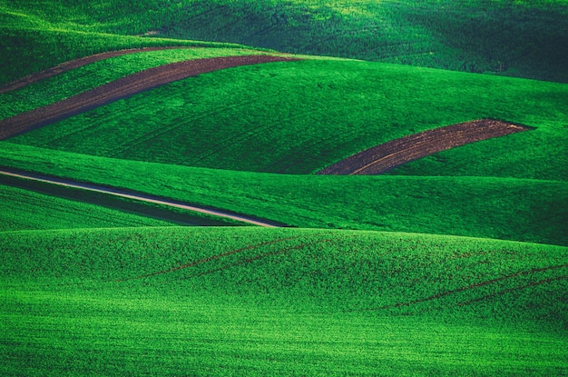 Collines verdoyantes avec des champs adaptés aux arrière-plans ou aux papiers peints, paysage naturel saisonnier. Moravie du Sud, République tchèque