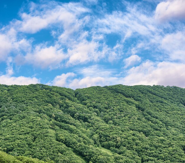 Photo collines verdoyantes en été et un ciel nuageux