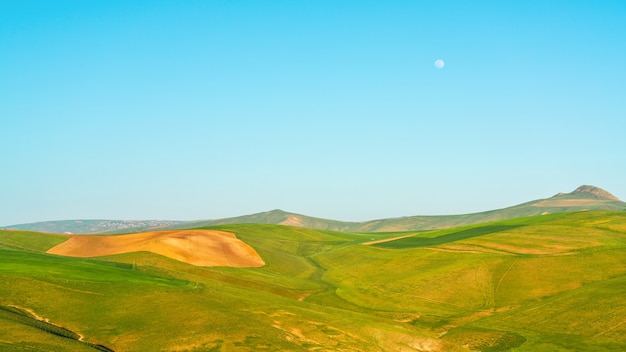 Collines verdoyantes et paysage de ciel bleu