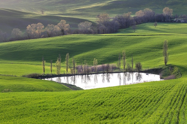 Collines verdoyantes de la Toscane au début du printemps