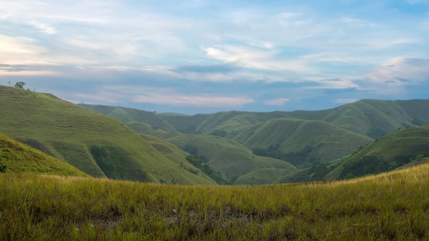 Collines verdoyantes avec vue sur le paysage