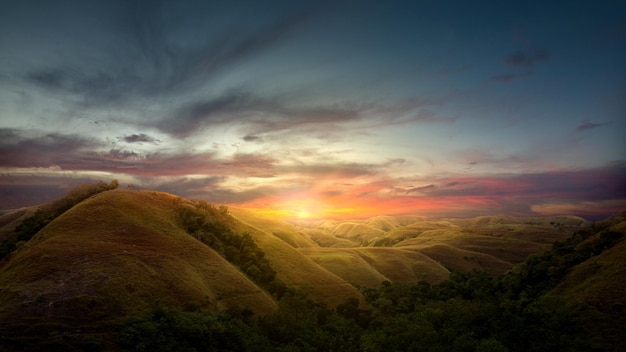 Collines verdoyantes avec vue sur le paysage