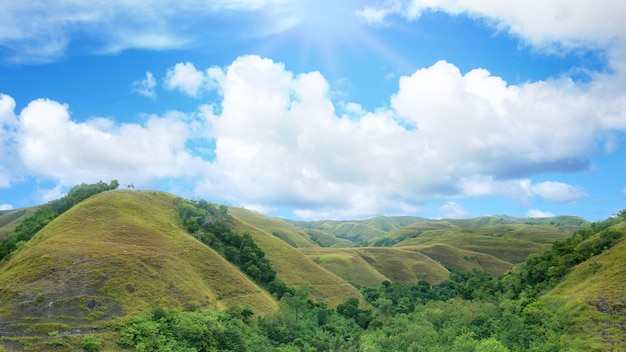 Collines verdoyantes avec vue sur le paysage