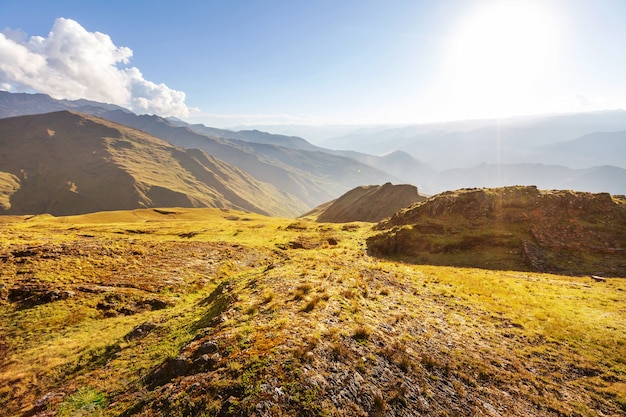 Collines vertes d'été dans le paysage de montagnes belle nature d'été nature sauvage des bois