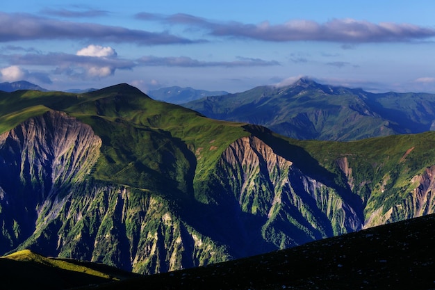 Collines vertes d'été