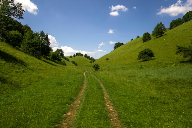 Collines de Zagajica en Serbie, beau paysage à un jour d'été