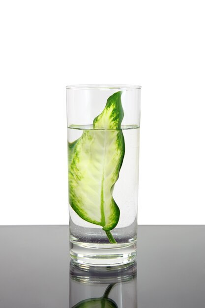 Écologie -feuille verte dans un verre d'eau . Conceptuel.