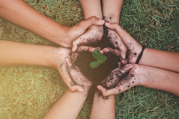 Écologie protection de l'environnement naturel concept de jour de la terre plantation de plantes dans les mains humaines sur vert