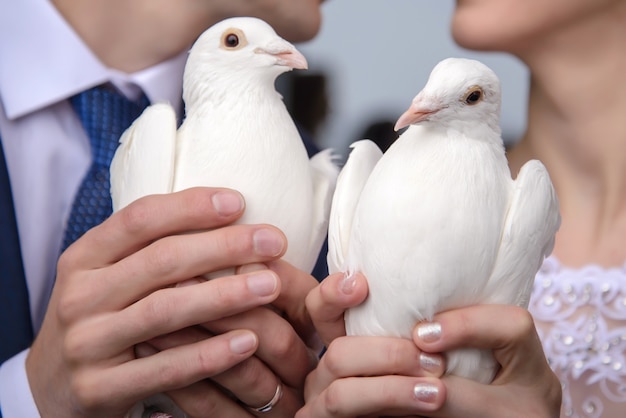 Photo colombes blanches dans les mains des jeunes mariés