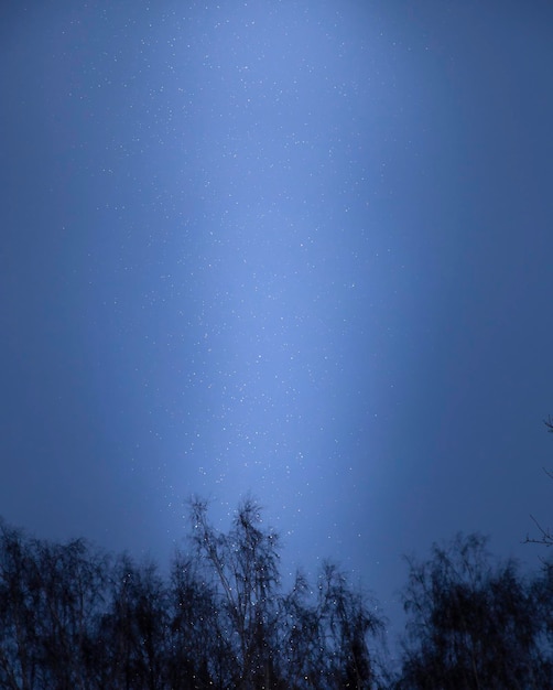 colonne rougeoyante de flocons de neige dans la forêt dans l'obscurité