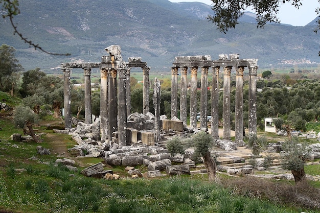 Colonnes de l'ancien temple de Zeus à Euromos était une ancienne ville de Carie Anatolie Turquie